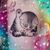 Sharon Monnett Slifka's profile image