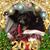 Barb Mann Pensinger's profile image