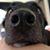 Valerie Whitney's profile image