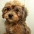 Owney Powers's profile image