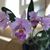 Kristi Jo Emerson's profile image