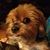 Phyllis Miller's profile image