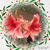 Tricia McKenna's profile image