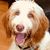 Cindy White Woodham's profile image