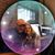 B Simone Hundley-Rhodes's profile image