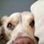 Sandie LieblichLeser's profile image