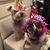 Kim Sims's profile image