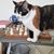 Gill Rowley's profile image