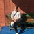 Jay Galutira's profile image