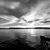Tiffany Schuett's profile image