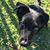 Kim Fleming's profile image