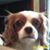 Noreen Berdine's profile image