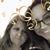 Debra Petrone-Varacalli's profile image
