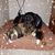 Kathy Murtha's profile image