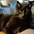 Peg Kinter McKean's profile image