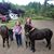 Trista K Ortiz's profile image