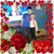 Mary Stambaugh Potter's profile image