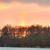 Mary Gwiazda Senatore's profile image