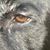 Sandra Scoville's profile image