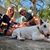 Amanda Barry Asker's profile image