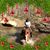 Rosann Barr's profile image