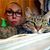 Lauren Lidard's profile image