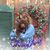 Christi Davis's profile image