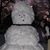 Sarajane Stuewe's profile image