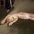 Sue Liberko Dickhaus's profile image