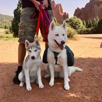 Rebecca Brefeld's profile image