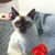 Jennifer Lumley True's profile image