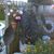 Pam Roberts's profile image