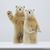 Terri Midkiff's profile image