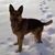 Tom Collins's profile image
