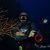 Chris S. Stellatella's profile image