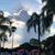 Patricia Picolo's profile image