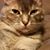 Dorothy McFarlin's profile image