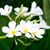 Michelle Brumbaugh's profile image