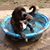Kimmie Lach's profile image