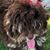 Wendell Edwards's profile image