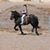 Andrea Gilsdorf's profile image