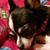 Lori M Moore's profile image