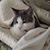 Terri Pigue's profile image