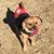 Saundra Somers's profile image