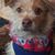 Nancy Hanson's profile image