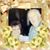 Jolene Michienzi's profile image