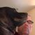 Emilio E Ferrucci Jr.'s profile image