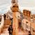 Mayra Montes's profile image