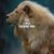 Donna Williams's profile image