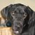 Penny Coughlin's profile image